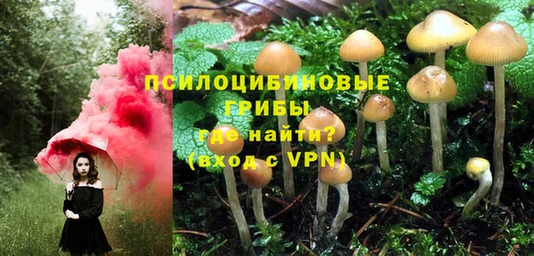 ПСИЛОЦИБИНОВЫЕ ГРИБЫ Новокубанск