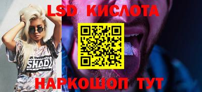 гашик Донецк