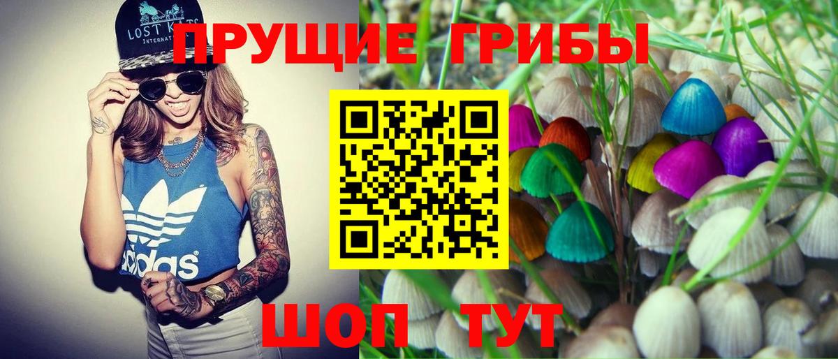 Псилоцибиновые грибы Psilocybine cubensis Клинцы