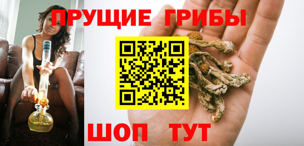 Псилоцибиновые грибы Psilocybe Клинцы